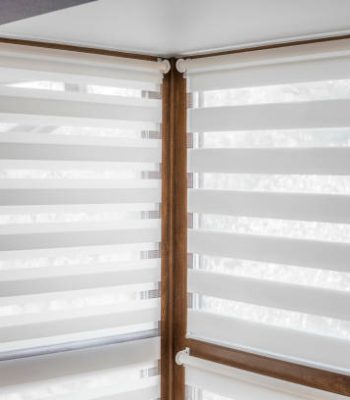 Custom Duplex Blinds Gallery – Stylish Home & Office Designs