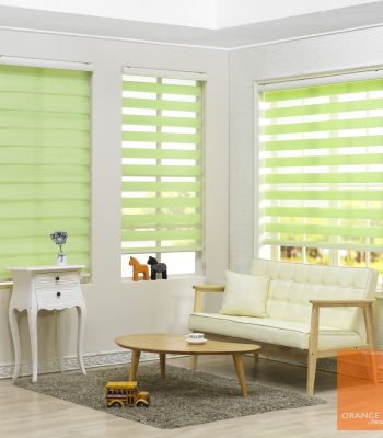 Duplex Blinds Photo Gallery – Inspiration for Modern Homes