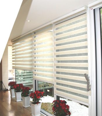 Duplex Blinds Gallery – Contemporary & Practical Designs